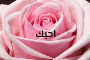 رسائل حب وغرام قوية
