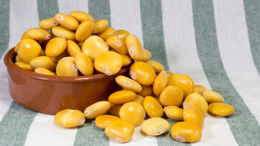 فوائد الترمس الصحية