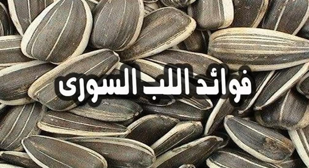 فوائد اللب السوري للصحة