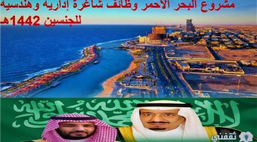 مشروع البحر الأحمر وظائف شاغرة