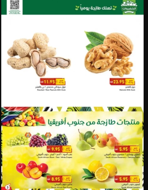 عروض بنده
