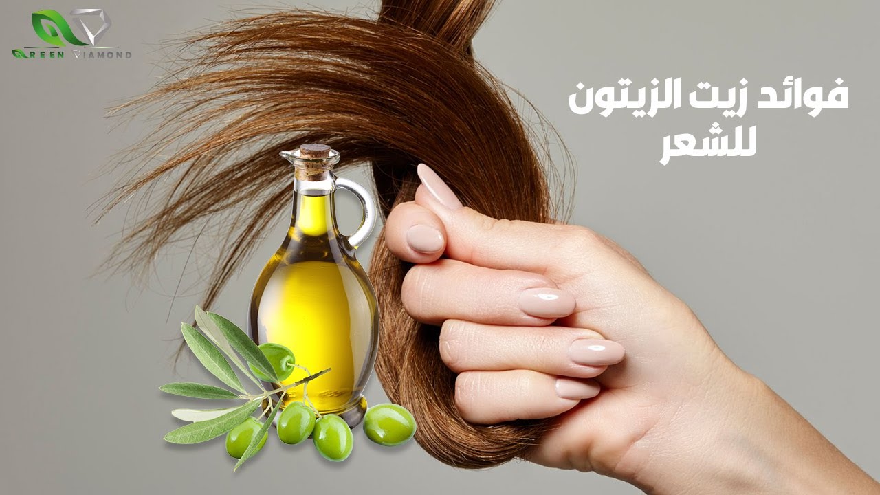 فوائد زيت الزيتون للشعر واهم نصائح وتحذيرات خبراء الشعر عند استخدام زيت الزيتون