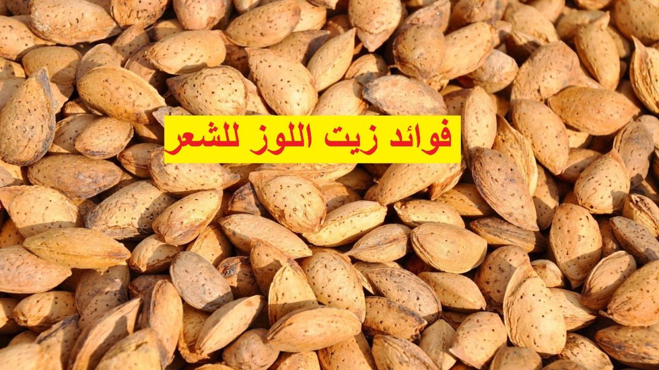 فوائد زيت اللوز للشعر والبشرة وطريقة استخدامه خطوة بخطوة