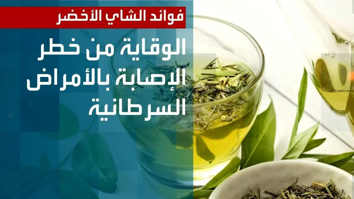 فوائد الشاي الأخضر وأفضل وقت لتناوله ومدي تأثيره علي جسم الإنسان