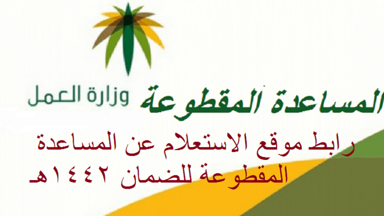 الاستعلام عن المساعدة المقطوعة