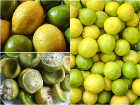 معجزة التخسيس الليمون