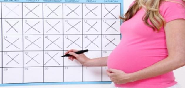 كيفية حساب فترة الحمل عند الأم