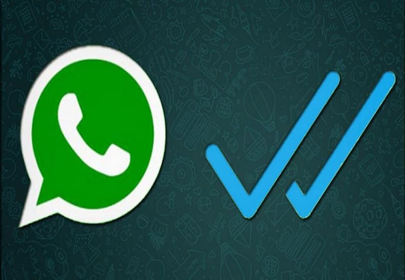 WhatsApp Status