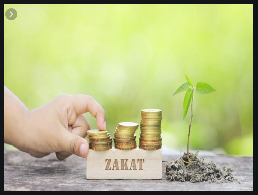 الفرق بين زكاة الفطر وزكاة المال