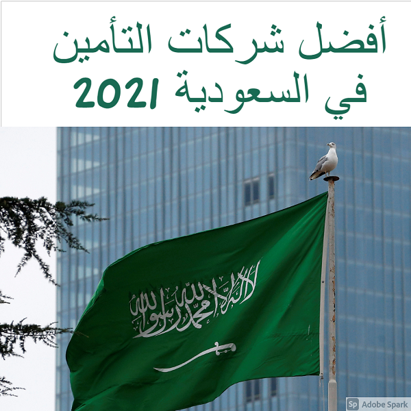 شركات تأمين السيارات في السعودية