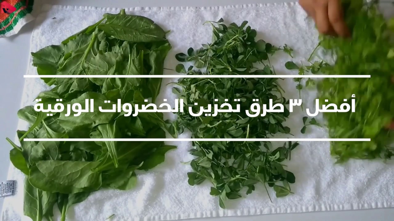 أفضل 3 طرق لحفظ الخضروات الورقية طازجة لأطول فترة ممكنة بلونها أخضر