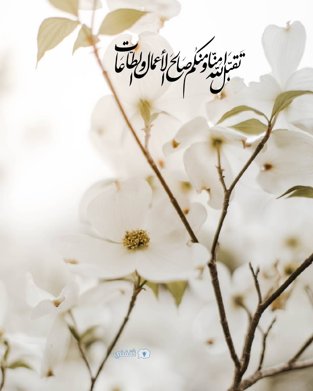 صور تهنئة رمضان 2021