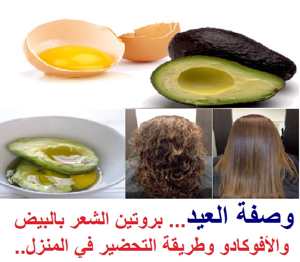 وصفة بروتين الشعر بالبيض والأفوكادو وطريقة التحضير في البيت