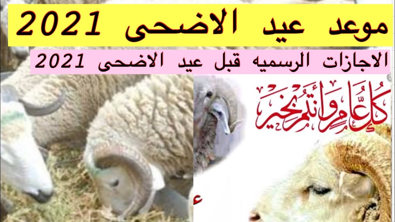 رسميا.. موعد عيد الاضحي في مصر والسعودية 1442 .. أول أيام عيد الاضحي المبارك 2021 - ثقفني