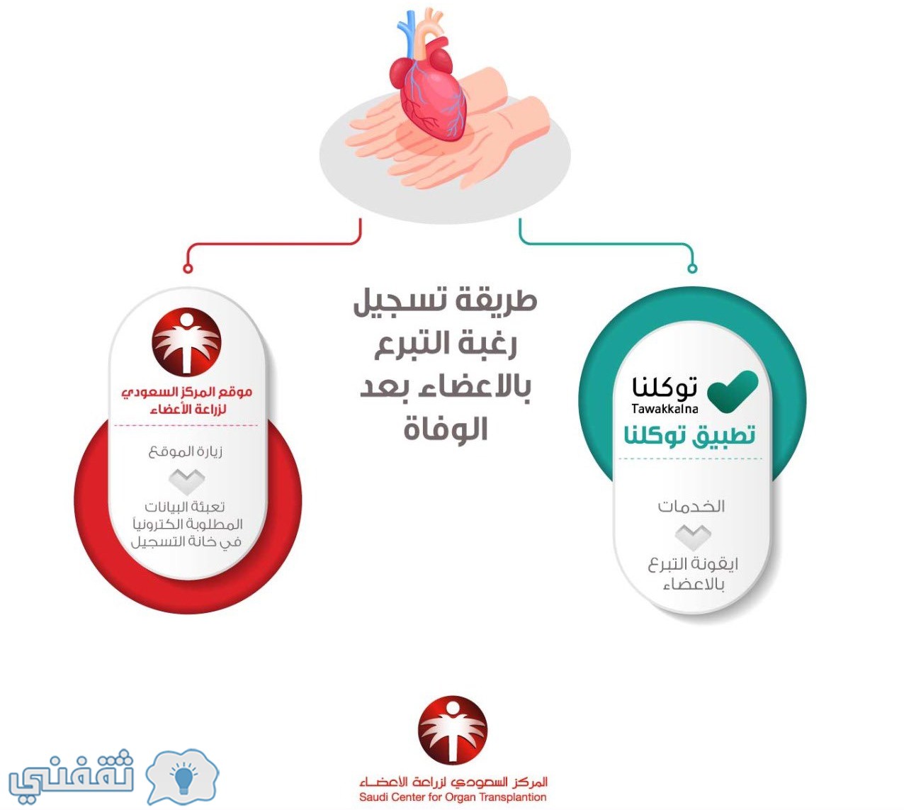 حكم التبرع بالاعضاء بعد الموت ما هل يجوز