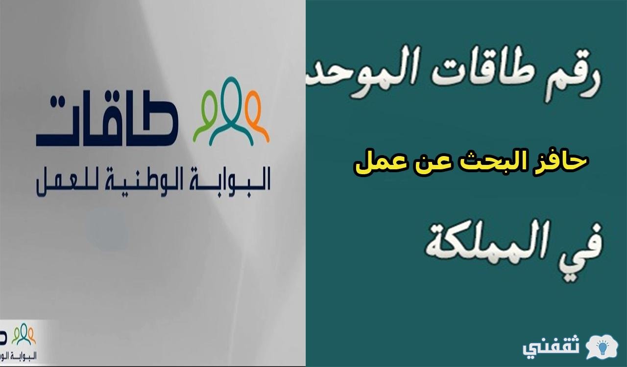 رقم حافز طاقات وشروط التنظيم الجديدة لصرف إعانة البحث عن عمل