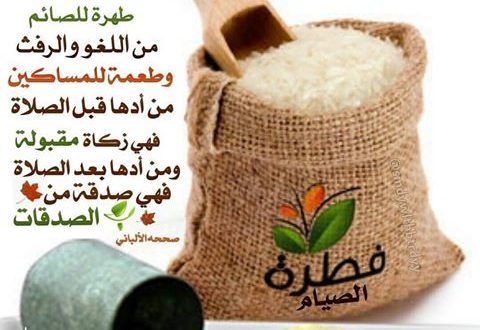 زكاة الفطر