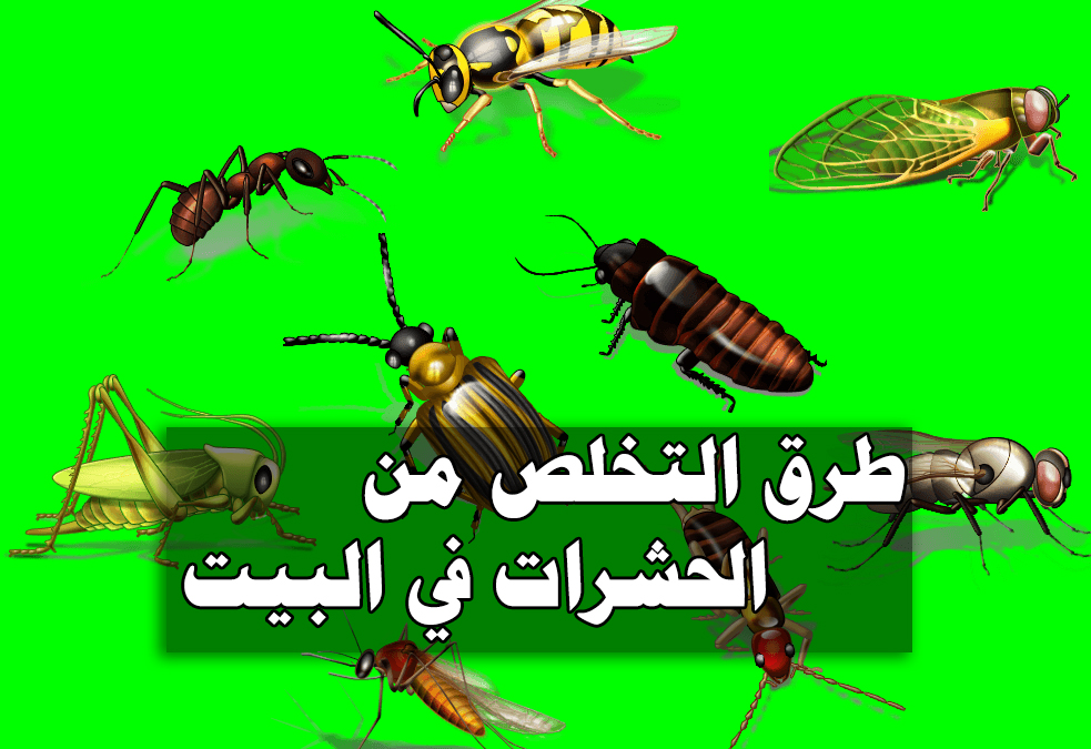 خلطة الخل الطبيعية