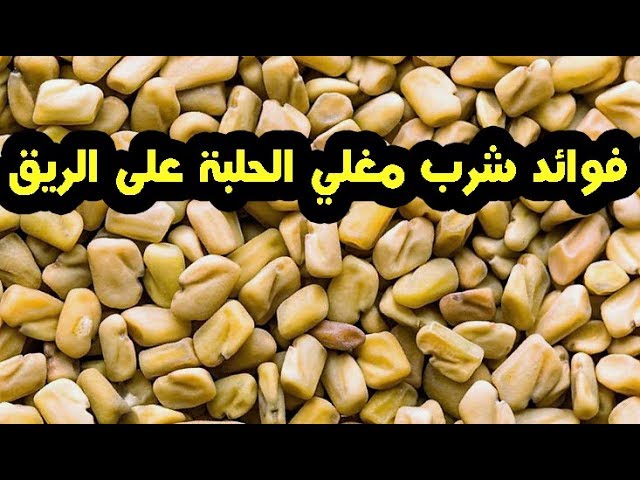 فوائد الحلبة على الريق