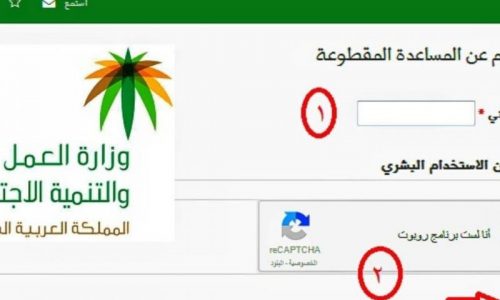 موعد صرف المساعدة المقطوعة