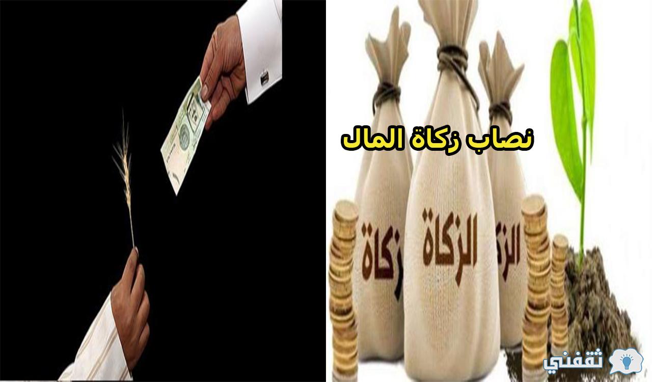 طريقة حساب زكاة المال بالريال السعودي