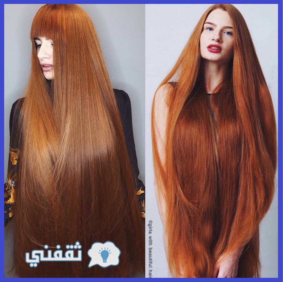 الوصفة السرية لتطويل الشعر بدون أدوية في أسبوع مثل ذيل الحصان ثقفني رشاقة وجمال