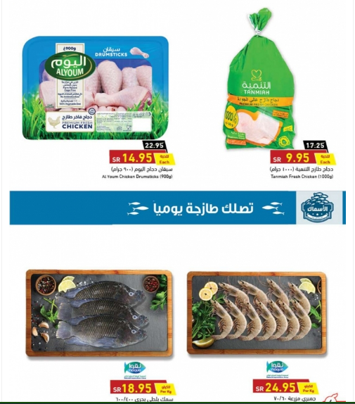 دجاج وأسماك