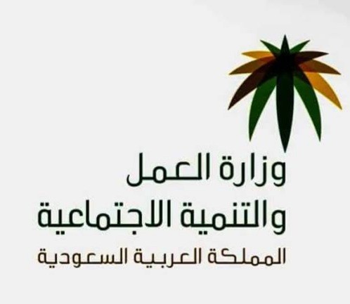 تعرف على إجراءات نقل الكفالة