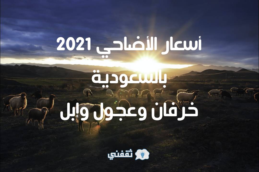 أسعار الأضاحي 2021 بالسعودية