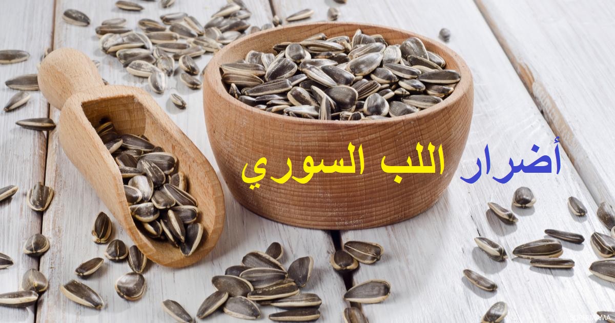 أضرار اللب السوري على القولون