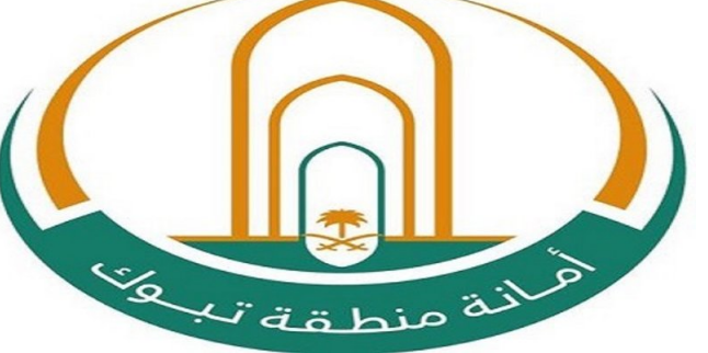 طلبات ايصال الكهرباء للمنازل دون صكوك