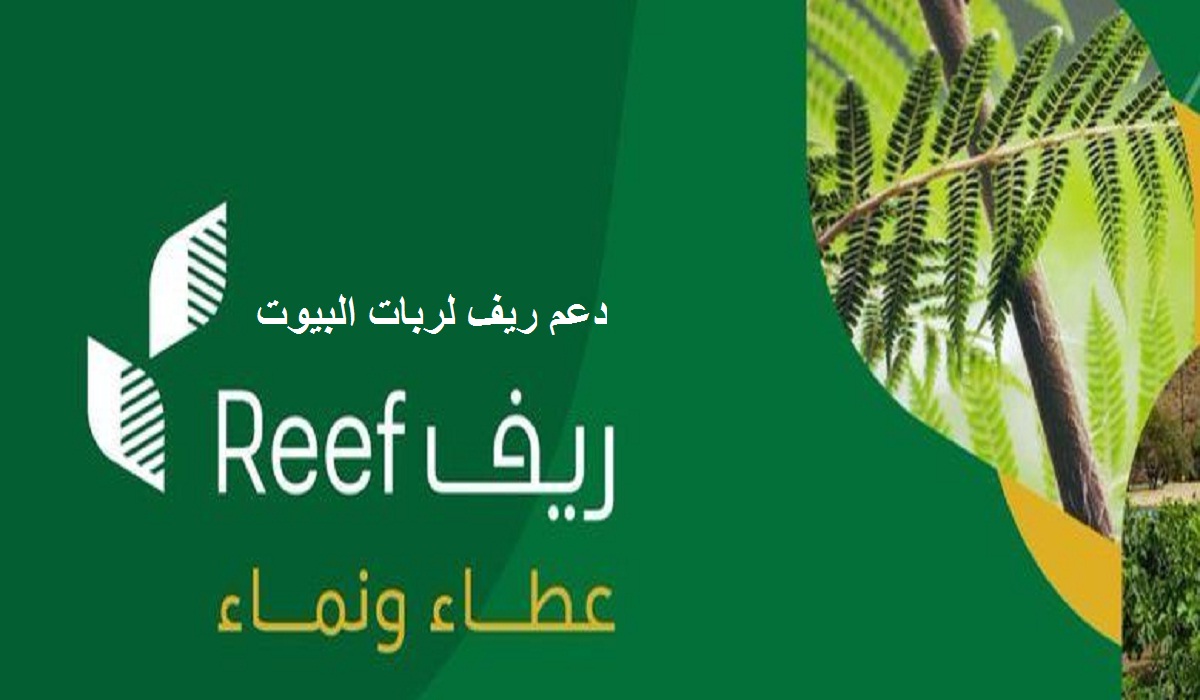 رابط التسجيل في دعم ريف 1442 عبر منصة ريف الإلكترونية reef.gov.sa