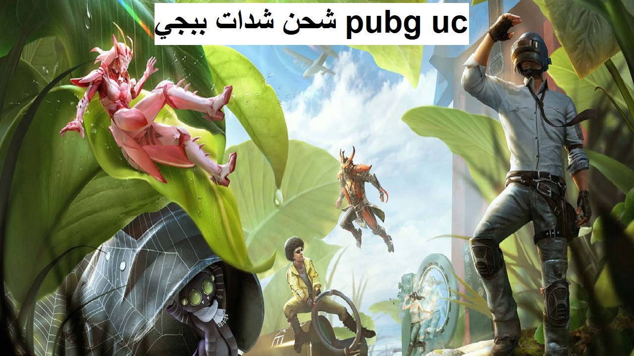 شحن شدات ببجي pubg uc الجديد وأسعار الشدات والعروض