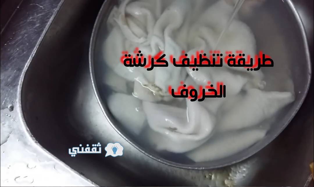 طريقة تنظيف كرشة الخروف