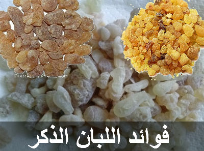 فوائد لبان الدكر على الريق