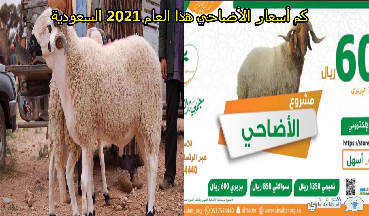 كم أسعار الأضاحي هذا العام 2021 السعودية