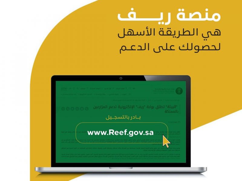 رابط التسجيل في دعم ريف لدعم الاسر