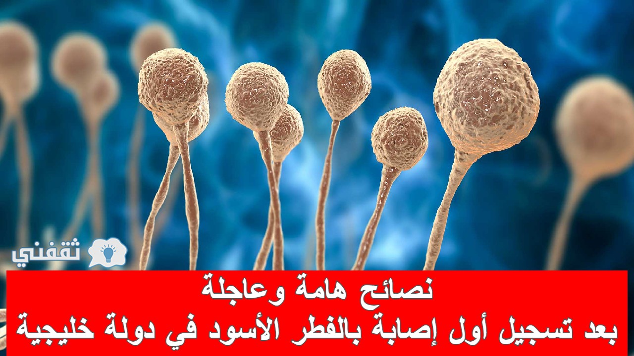 مرض الفطر الأسود