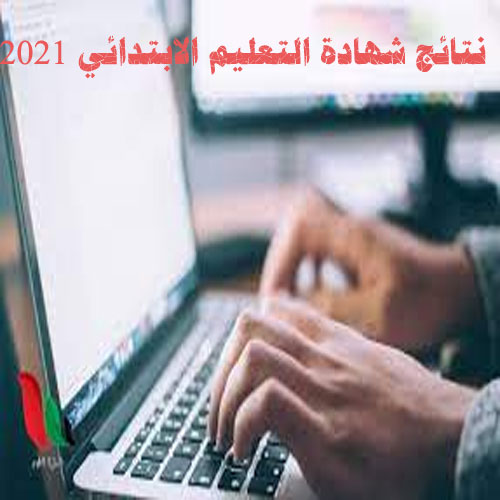 نتائج شهادة التعليم الابتدائي 2021