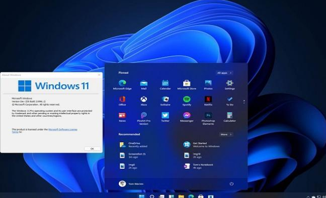 windows 11