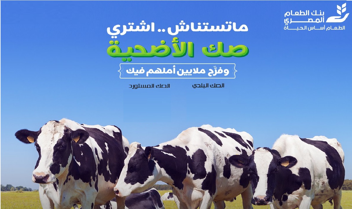 سعر صك الأضحية 2021 البلدي والمستورد من بنك الطعام المصري ثقفني