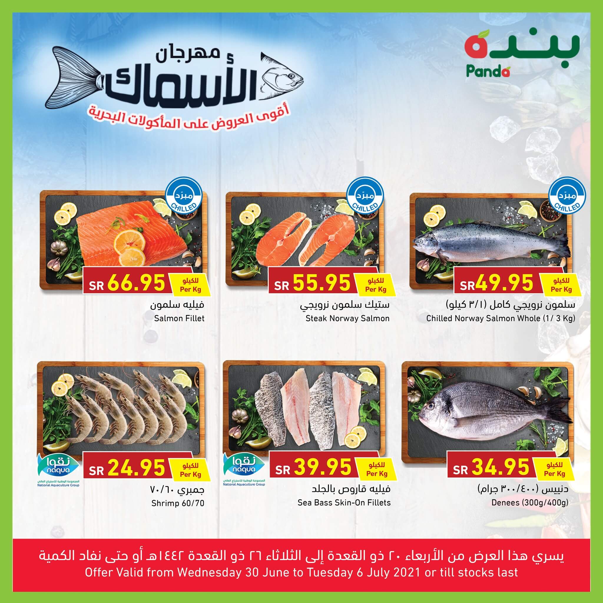 اخر عروض بنده علي الأسماك