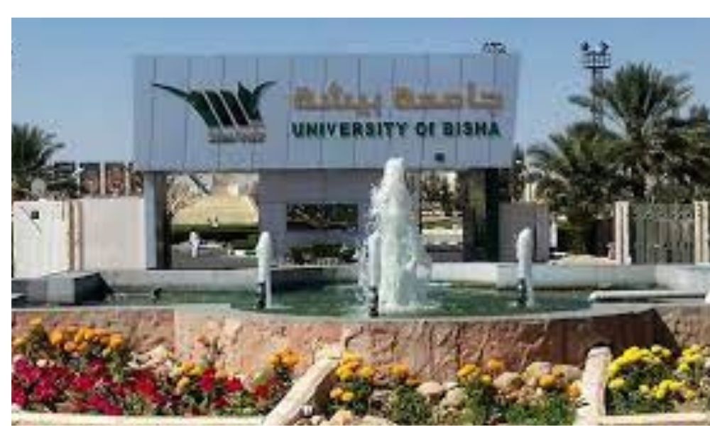 تخصصات جامعة بيشة