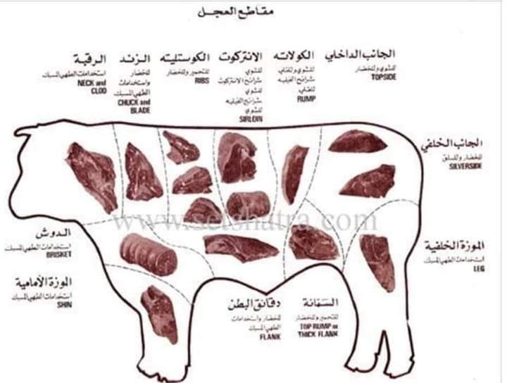 مقاطع العجل