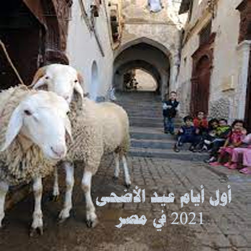 أول أيام عيد الأضحى 2021 في مصر