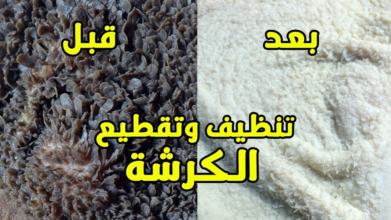 اسرار تنظيف الكرشه حتى لو كانت فحمه