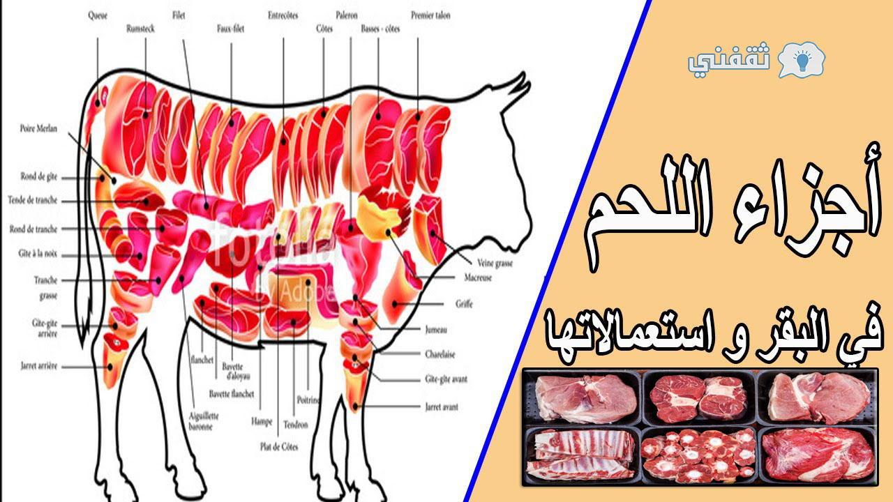 كيفية اختيار قطعة اللحم