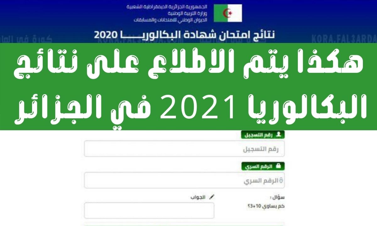 استخراج نتائج البكالوريا 2021 عبر موقع وزارة التربية الوطنية bac.once.dz