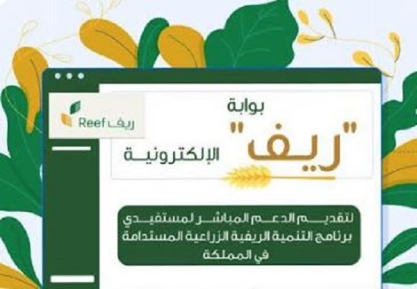 شروط دعم ريف للأسر المنتجة