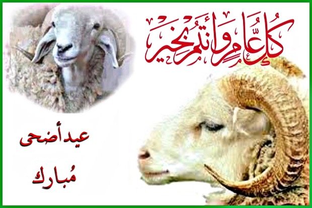 كم باقي لعيد الاضحى